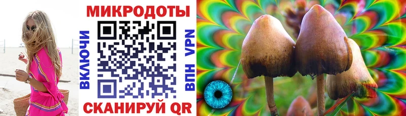 Галлюциногенные грибы Cubensis  сколько стоит  Белореченск 